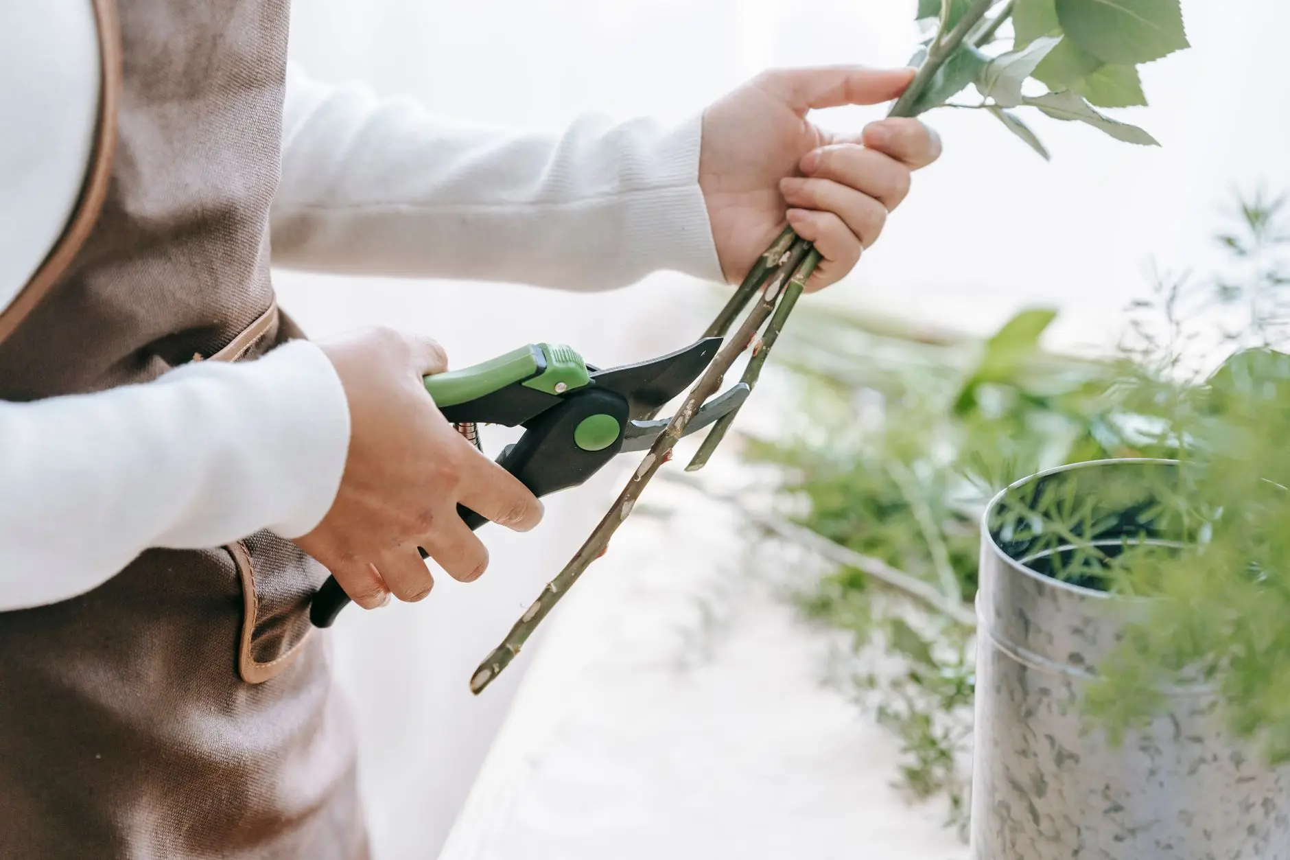 兰州企业软件开发服务如何选择：鲤轩科技的系统集成方案解析